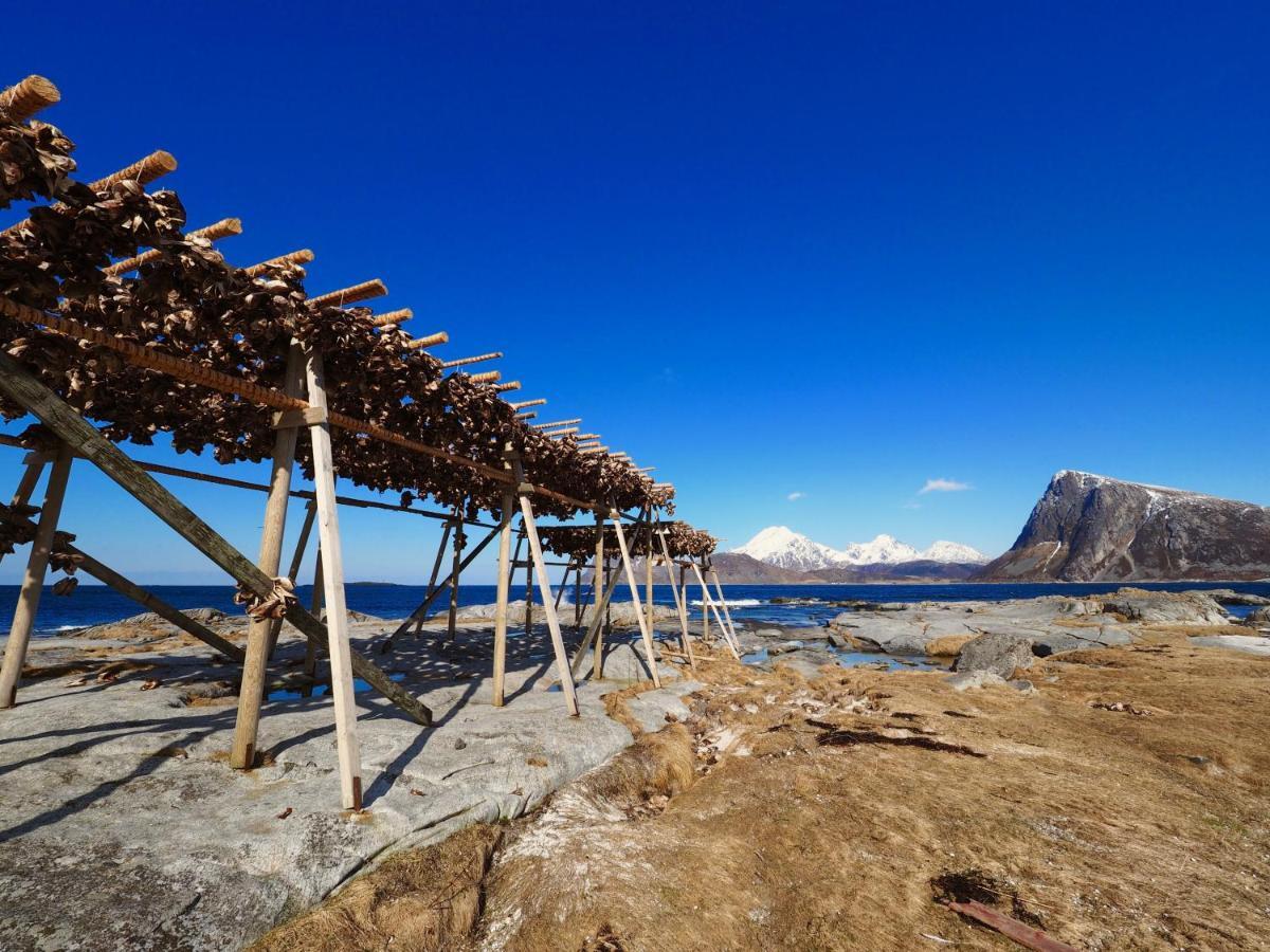 Lofoten Troll Point Bostad Luaran gambar